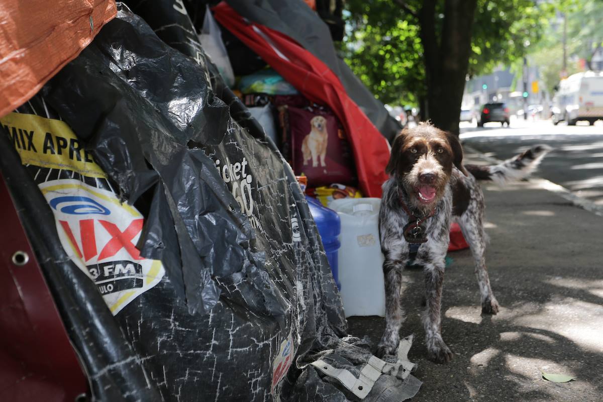 SP: dado de pessoas em situação de rua cresce e se aproxima de 100 mil