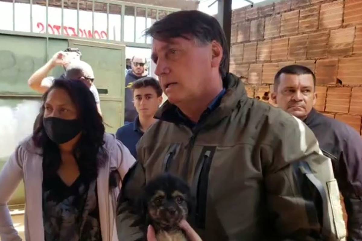 Não tem mais animais na Venezuela. Comeram até cavalo”, diz Bolsonaro |  Metrópoles