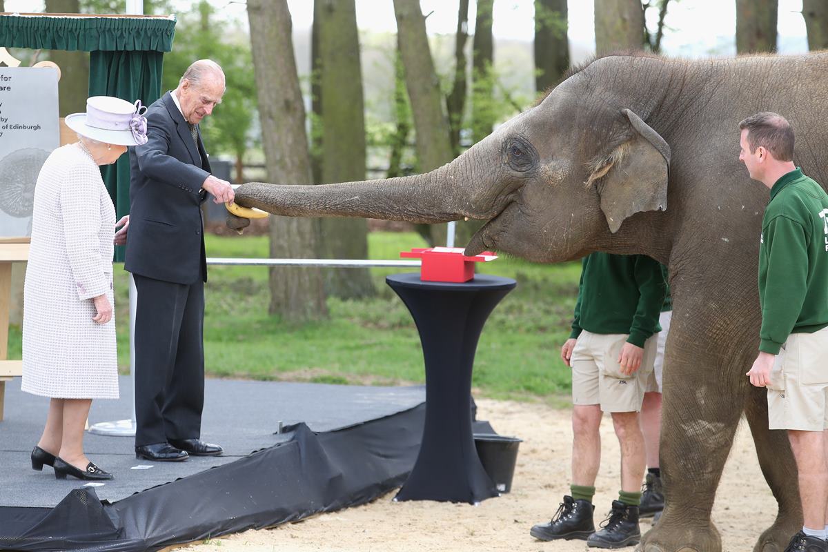 Rainha Elizabeth e príncipe Philip com elefante