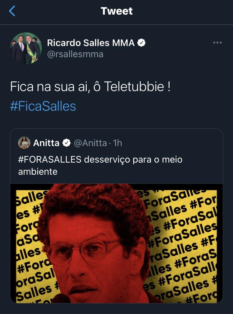 Ministro Ricardo Salles chama Anitta de Telettubie