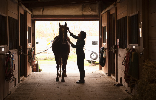 mulher cuidando de cavalo