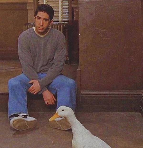 Ross Geller, em Friends