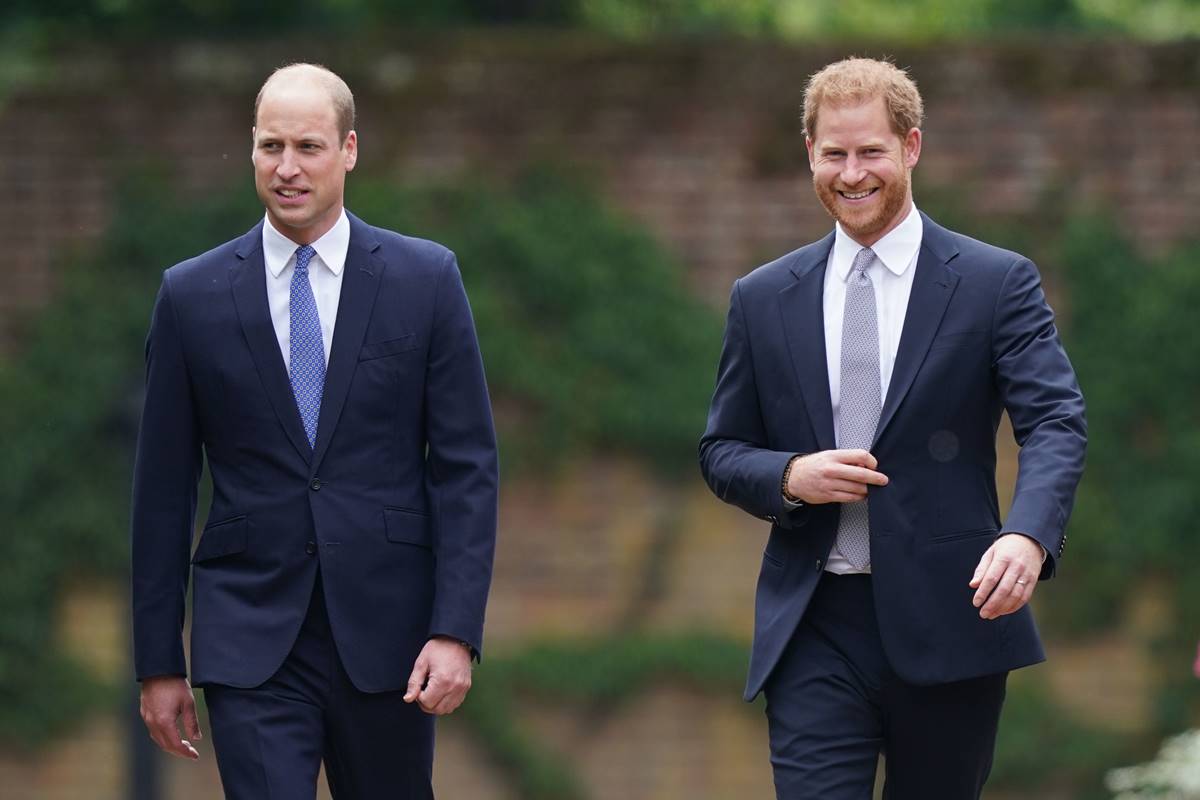 Principes William e Harry em evento do lançamento de estátua de Diana