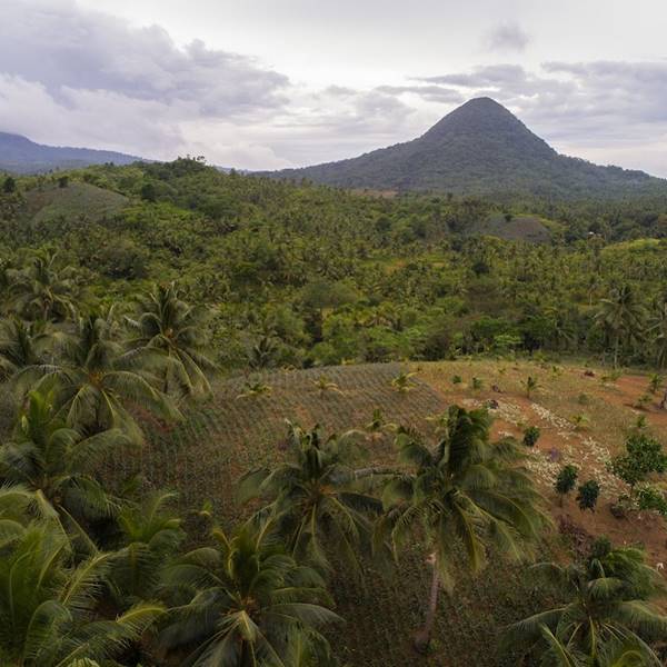 Couro ecológico