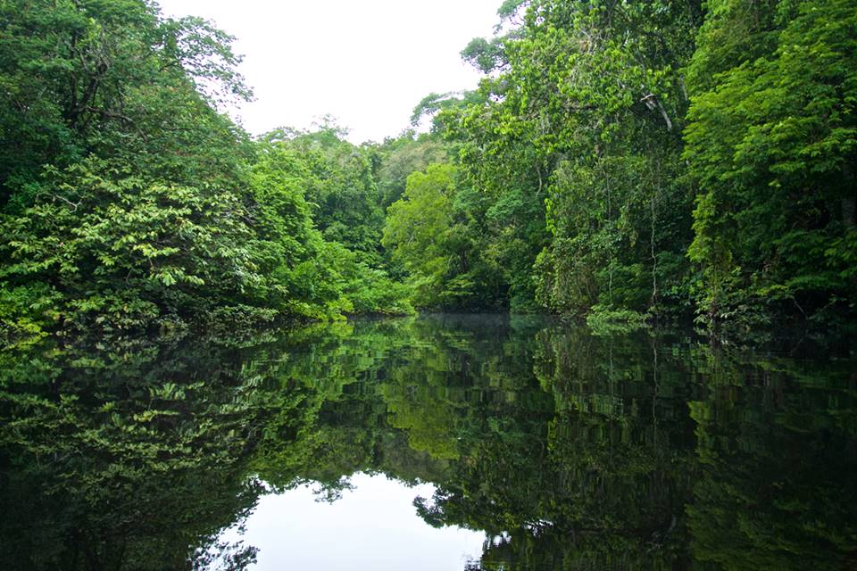 Parque Nacional de Anavilhanas 