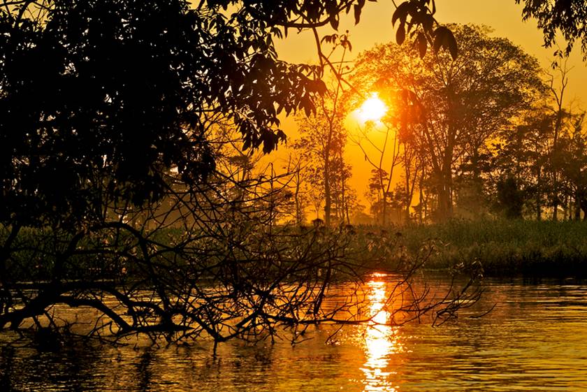 Parque Nacional de Anavilhanas