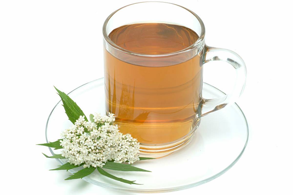 chá de valeriana