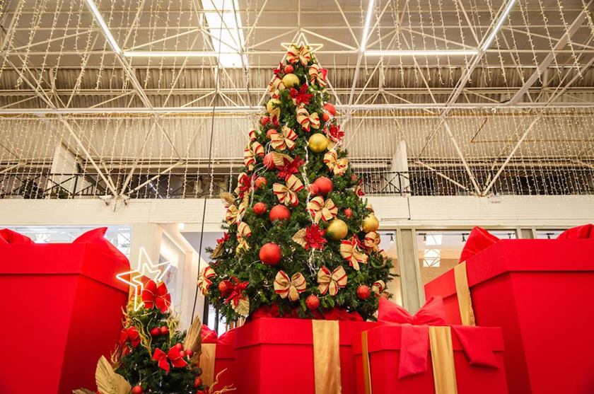 Quando Desmontar a Árvore de Natal? Descubra o Dia Certo!