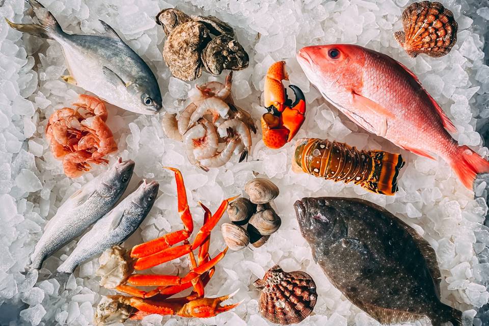 Descubra os Frutos do Mar Ricos em Colágeno para uma Pele Saudável e Radiante