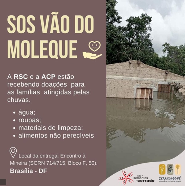 campanha sos vão do moleque