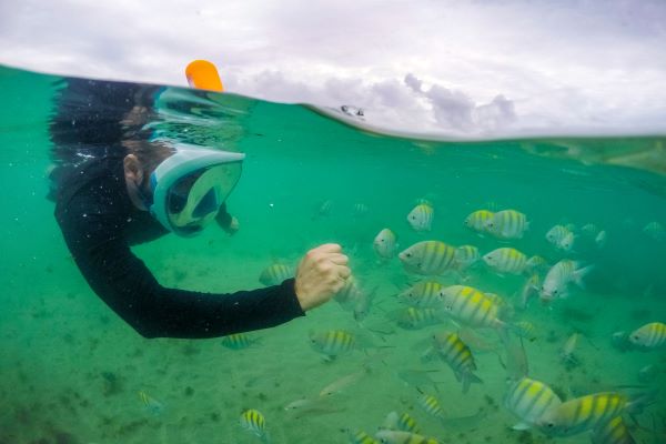 Porto de Galinhas, PE