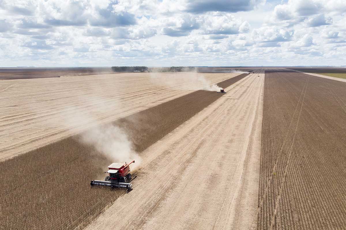 Com safra recorde, PIB da cadeia da soja e do biodiesel deve subir 11%