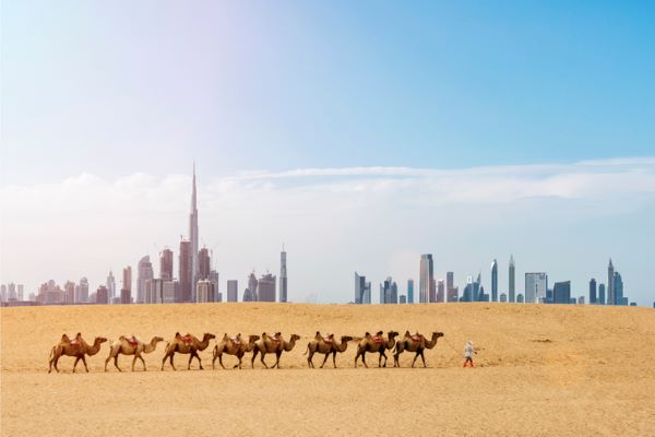 Deserto de Dubai, ARE