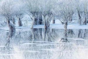 Lago de Gelo – por Cristiano Vendramin, Itália