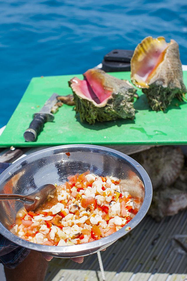 Foto colorida. Salada de concha