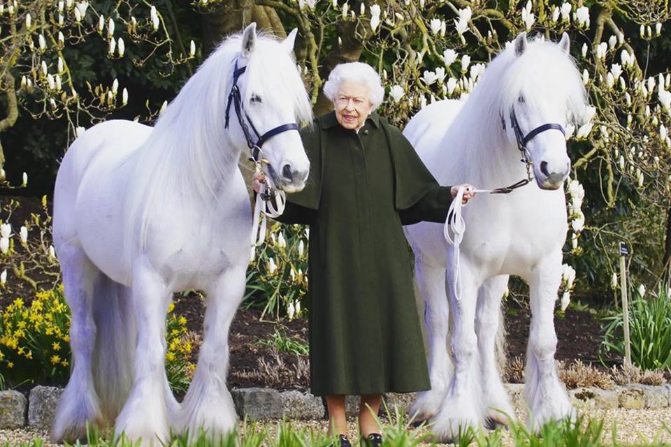 Foto colorida. Rainha Elizabeth com dois pôneis