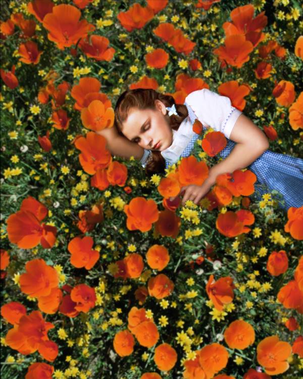 Mulher branca com vestido azul deitada em um campo de flores 