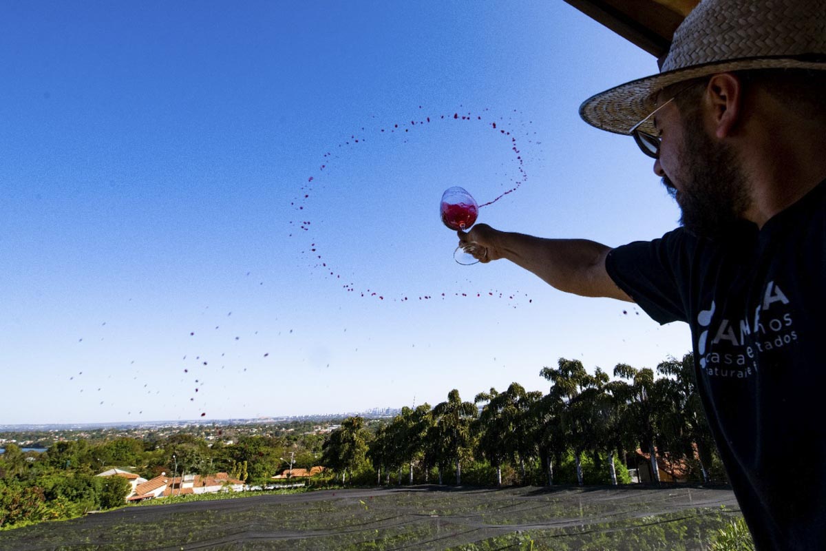 produtor da vinícola com copo de vinho no meio do Lago Norte lança vinho natural feito no DF