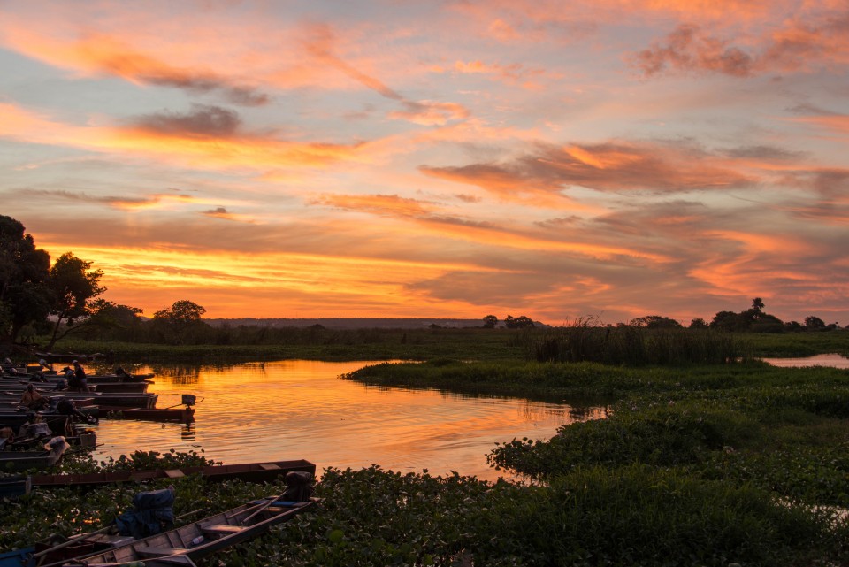 Pantanal