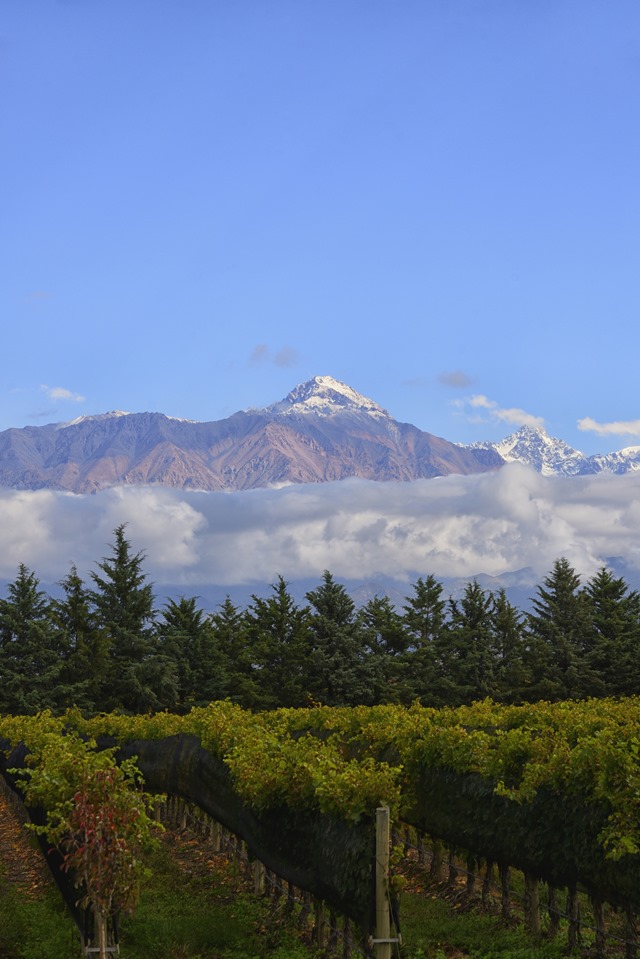 Mendoza na Argentina