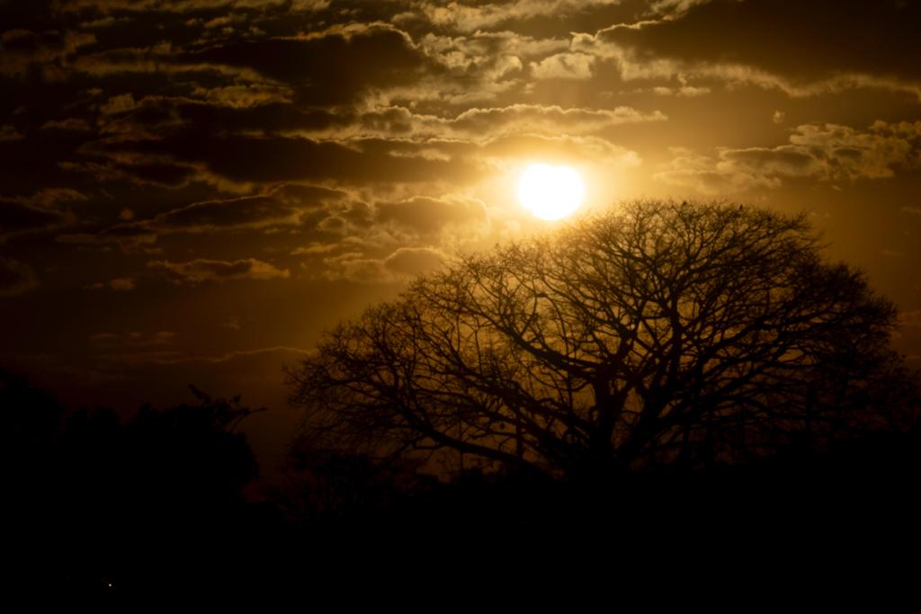 Por do sol durante o clima seco e umidade baixa em brasília DF estudo