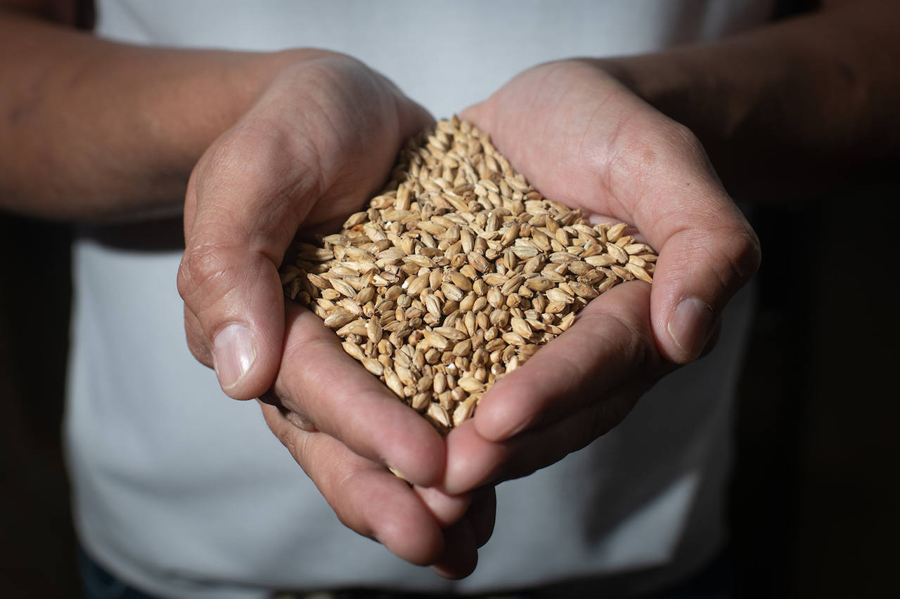 Cervejaria e o processo de produção para o Dia da Cerveja