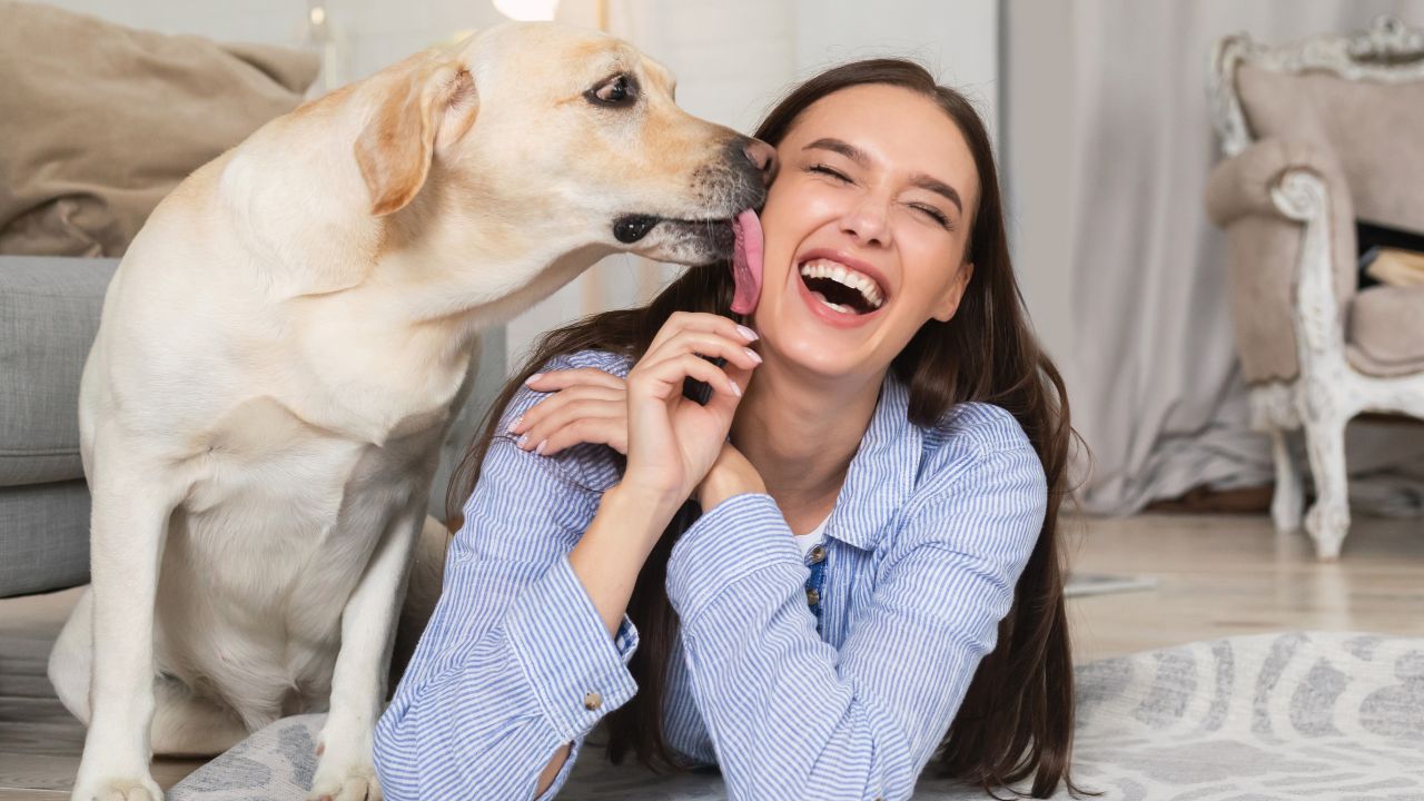 Cachorro lambendo mulher no rosto