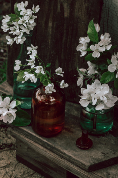 Jasmim - flor - flores - decoração