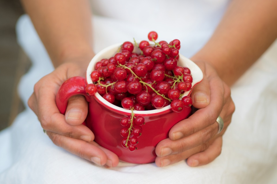 Foto colorida. Mão segura xícara com craberries