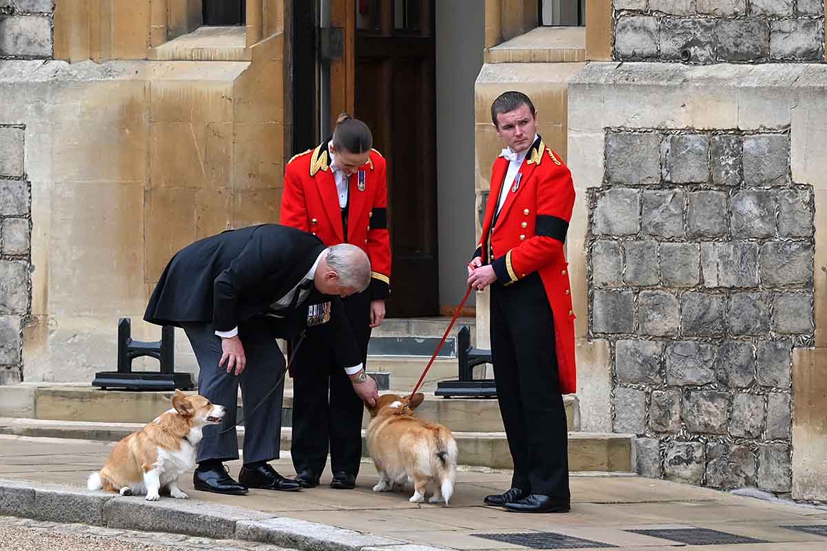 Príncipe Andrew, Duque de York fala com membros da Casa Real e brinca com os Corgis em 19 de setembro de 2022 em Windsor, Inglaterra. O serviço de confissão na Capela de São Jorge, no Castelo de Windsor, ocorreu após o funeral de estado na Abadia de Westminster. Seguiu-se um enterro privado na Capela Memorial do Rei George VI. A rainha Elizabeth II morreu no Castelo de Balmoral, na Escócia, em 8 de setembro de 2022, e é sucedida por seu filho mais velho, o rei Carlos III