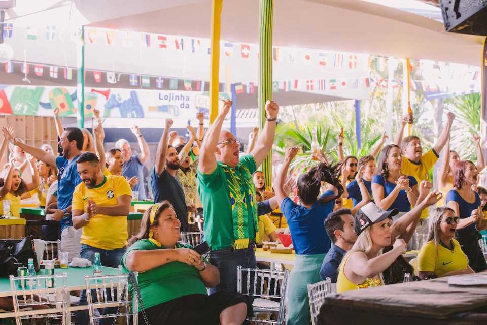 torcedores do brasil na copa do mundo