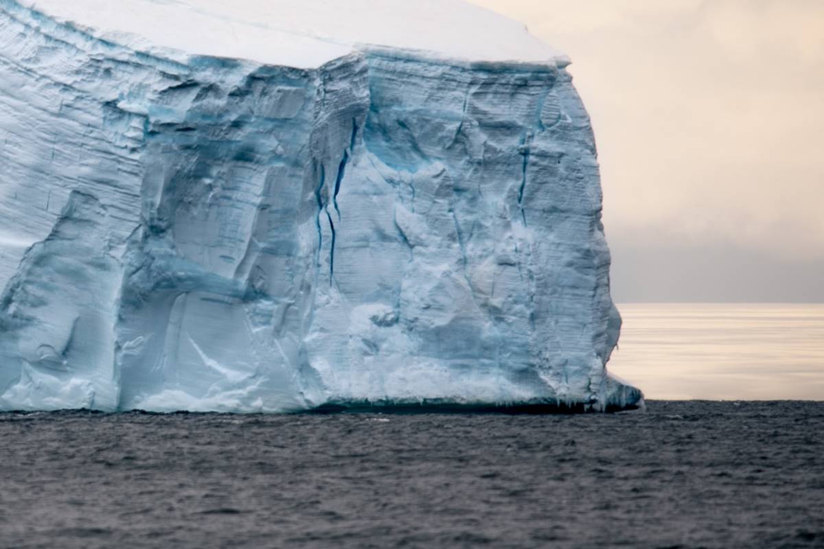 Iceberg
