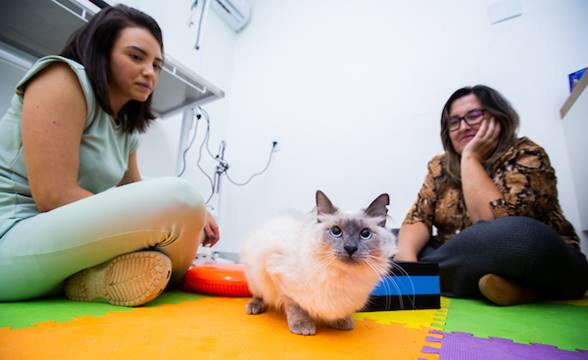 Duas mulheres sentadas no chão nas laterais da imagem, um gato agachado e branco está no centro da foto e olhando para a câmera