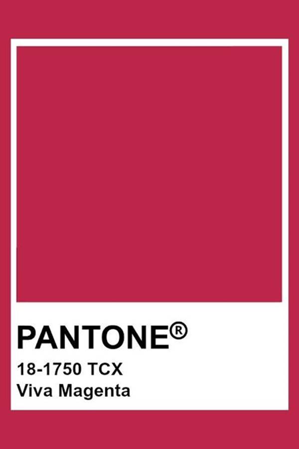 Viva Magenta, cor de 2023, segundo a Pantone - Metrópoles