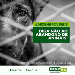 Imagem de campanha Dezembro Verde