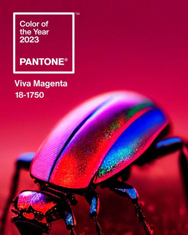 Cor de 2023: Viva Magenta, segundo a Pantone - Metrópoles