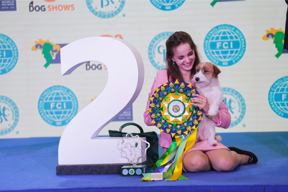 World Dog Show/Reprodução