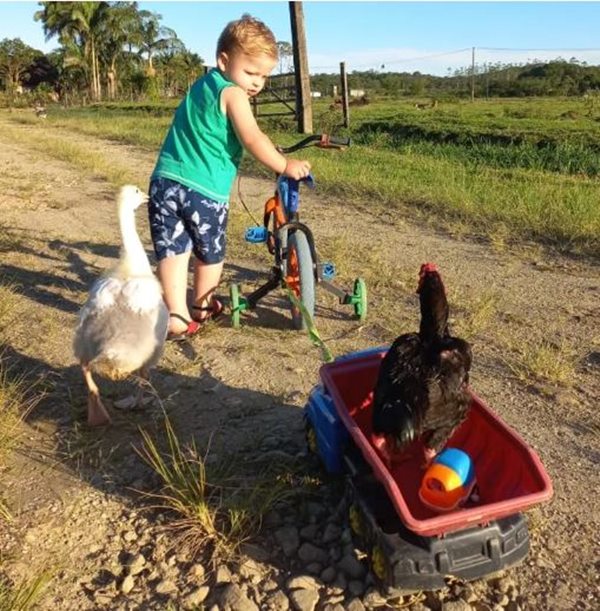 Foto colorida de uma criança segurando uma bicicleta de rodinha e alguns animais em sua volta