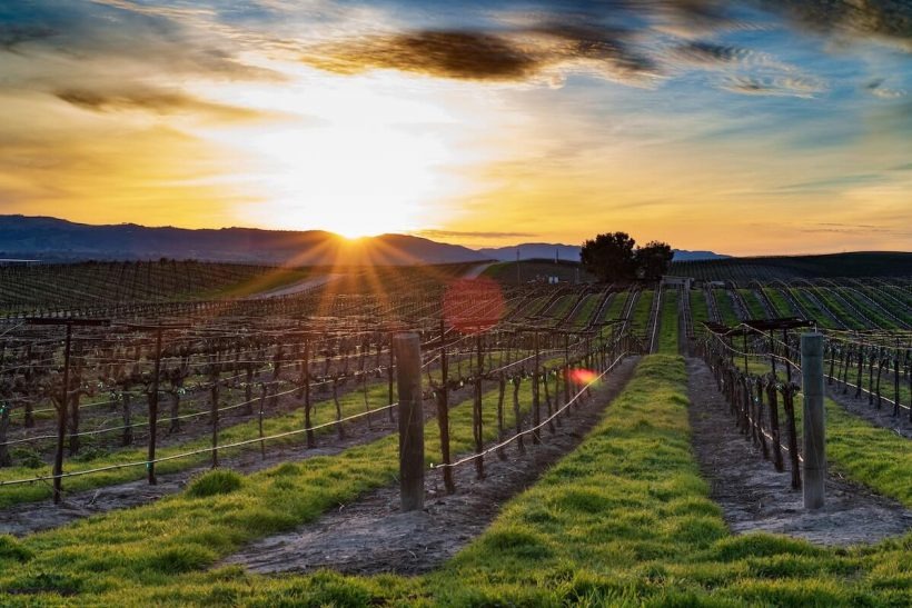 Paso Robles, Estados Unidos