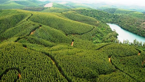 Fotografia colorida mostrando Três Lagoas, no Mato Grosso do Sul-Metrópoles