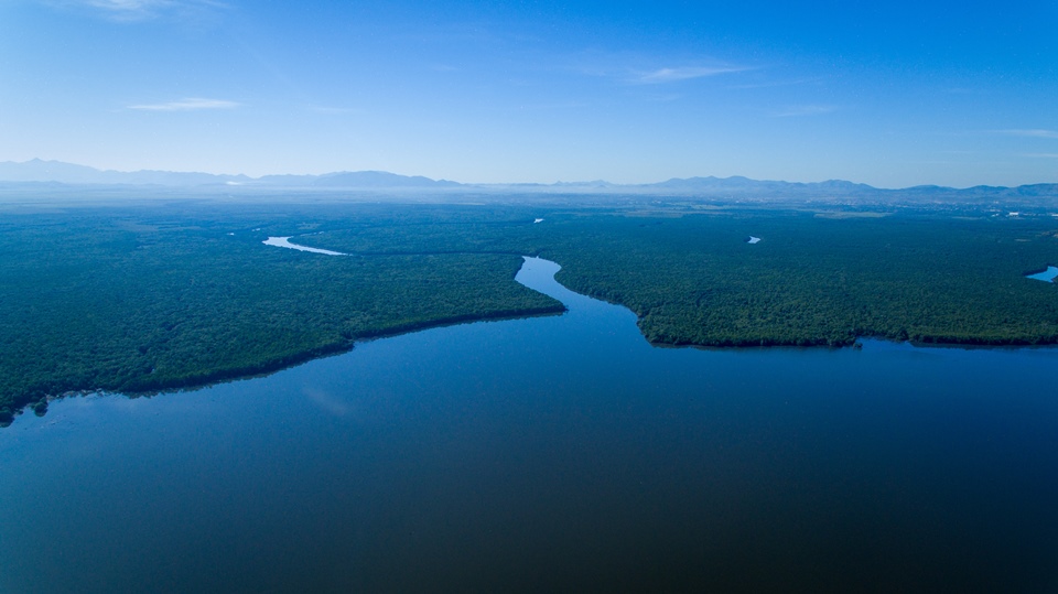 A área protegida de Guapimirim preserva o maior manguezal da América Latina e ajuda a manter a biodiversidade e a vida da Baía de Guanabara, cartão postal do Rio de Janeiro - Metrópoles