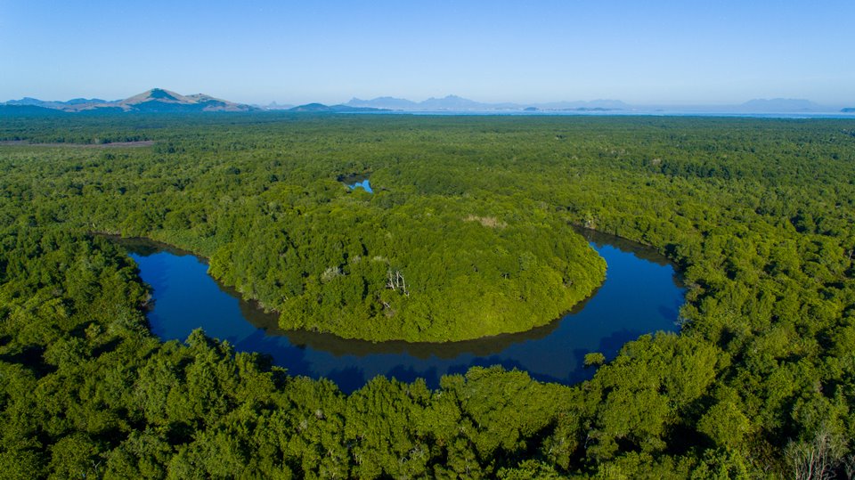 Pantanal Fluminense - Metrópoles