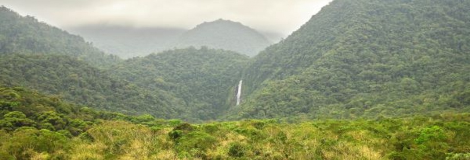 Reserva Natural Salto Morato, em Guaraqueçaba (PR) - Metrópoles