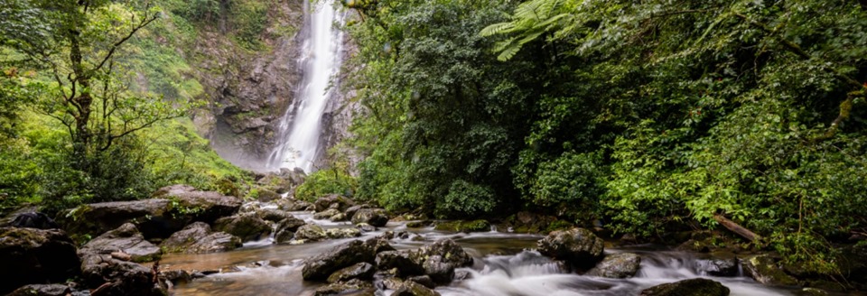 Reserva Natural Salto Morato, em Guaraqueçaba (PR) - Metrópoles