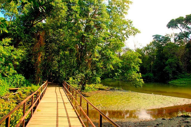 O Parque Estadual do Cocó