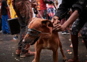 Bloco da Cracolândia desfila tentando se adaptar às mudanças do fluxo