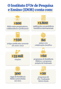 Infográfico colorido IDOR