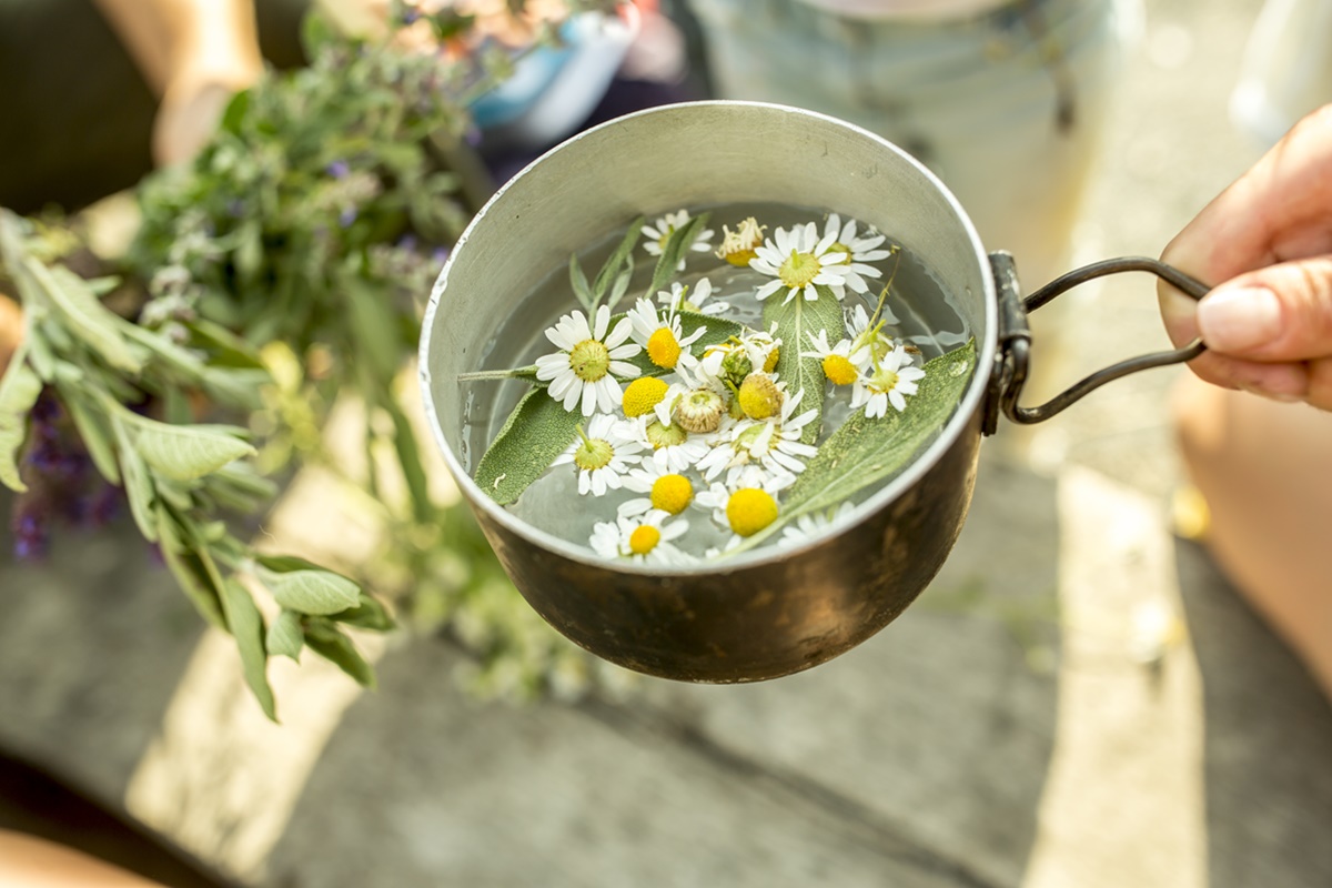 Uma mão segura uma panelinha com chá e por cima flores de camomila - chás para combater dor de estômago