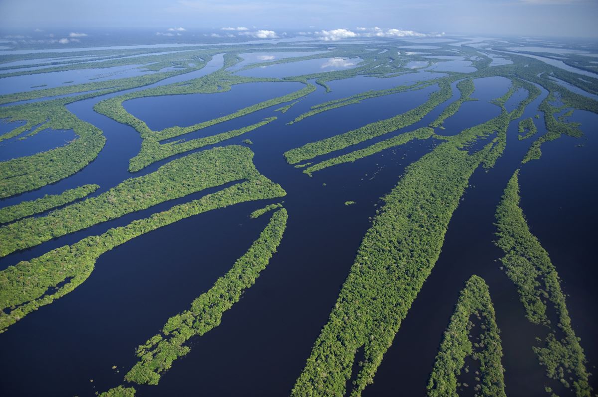 Amazônia, Brasil - Metrópoles