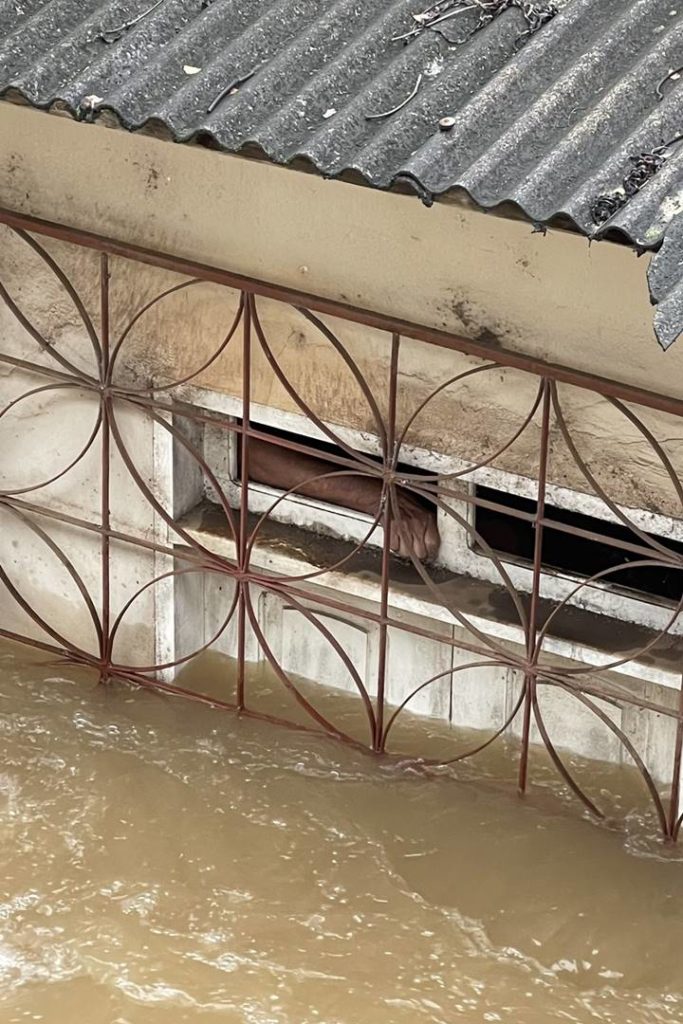 Um braço de uma pessoa do lado de fora de uma casa submersa no Acre - Metrópoles